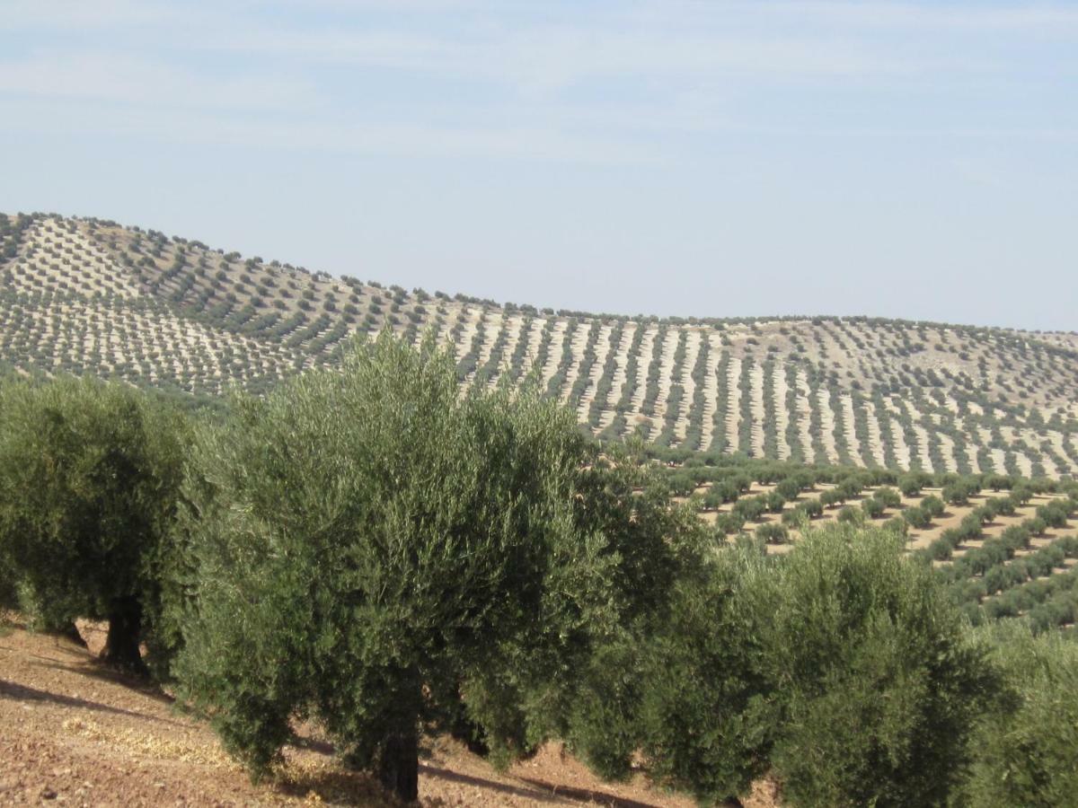 شقة Mirador De Garciez Torre del Campo المظهر الخارجي الصورة